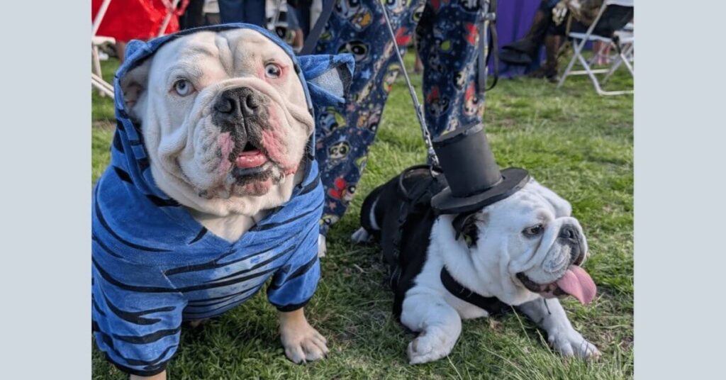 K-Pop Demon Hunters Made My Cry (And Why That Matters)